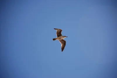 DSC_0017.jpg